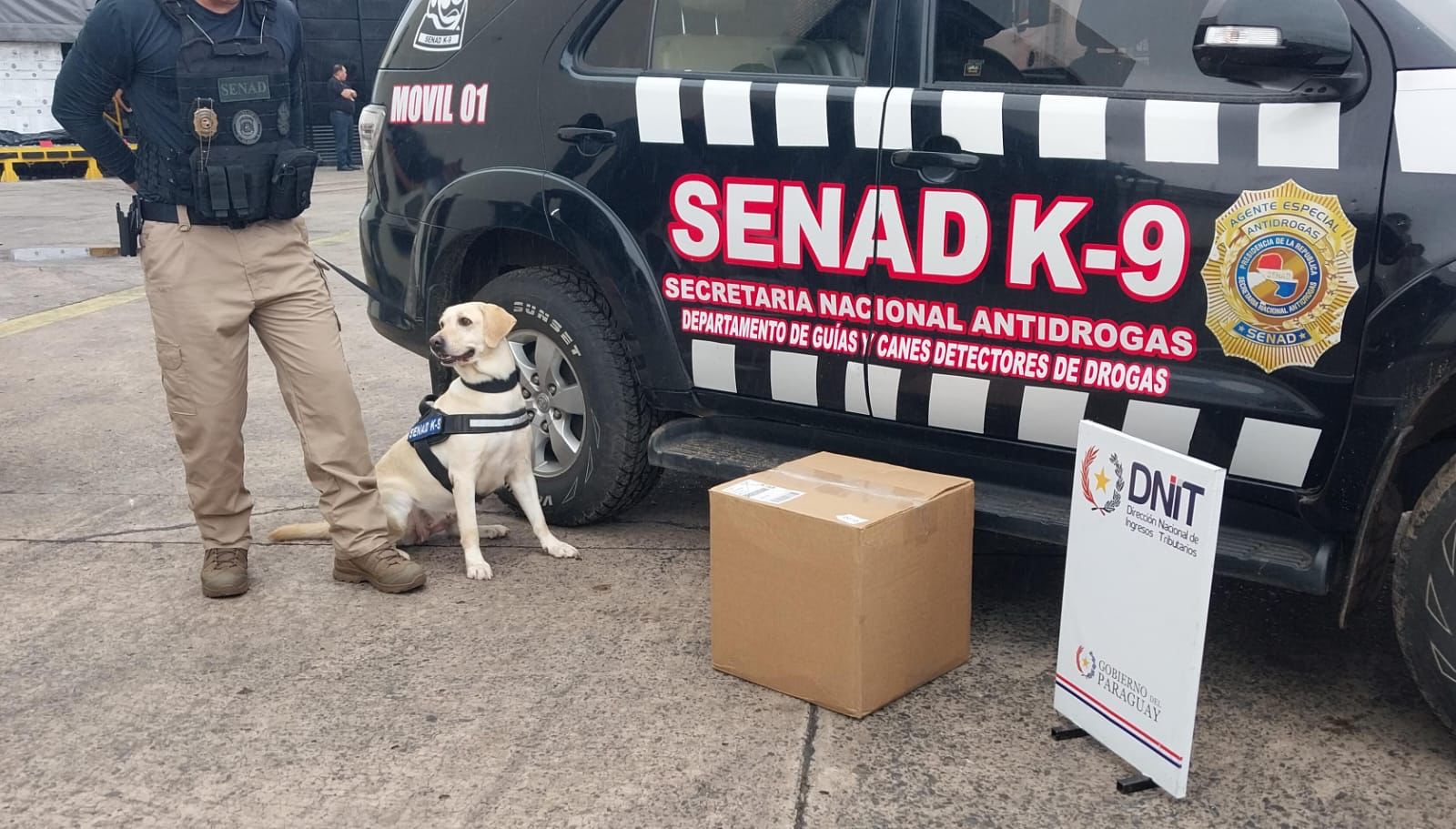 Frustran nuevo intento de ingreso de droga en envíos desde Miami