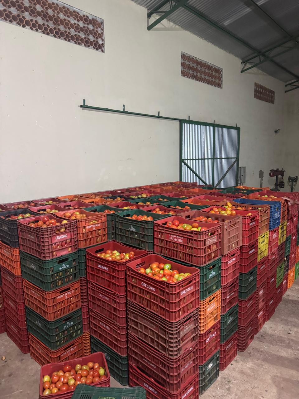 La DNIT incauta productos frutihortícolas en Capiibary