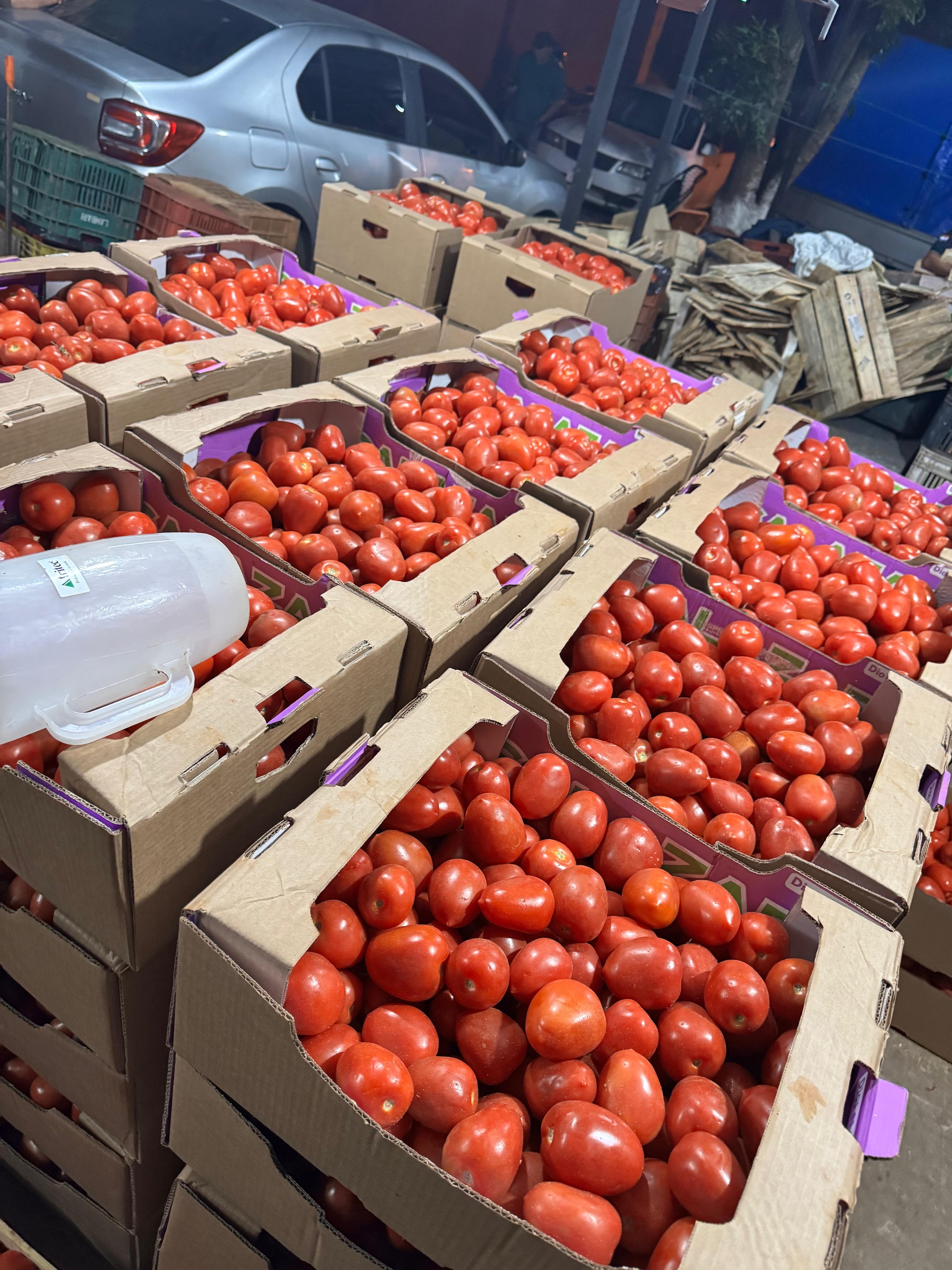Incautan casi 12 mil kilos de tomate