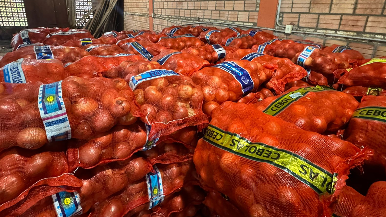 Fueron incautadas 500 bolsas de cebolla de 20 kilos cada una
