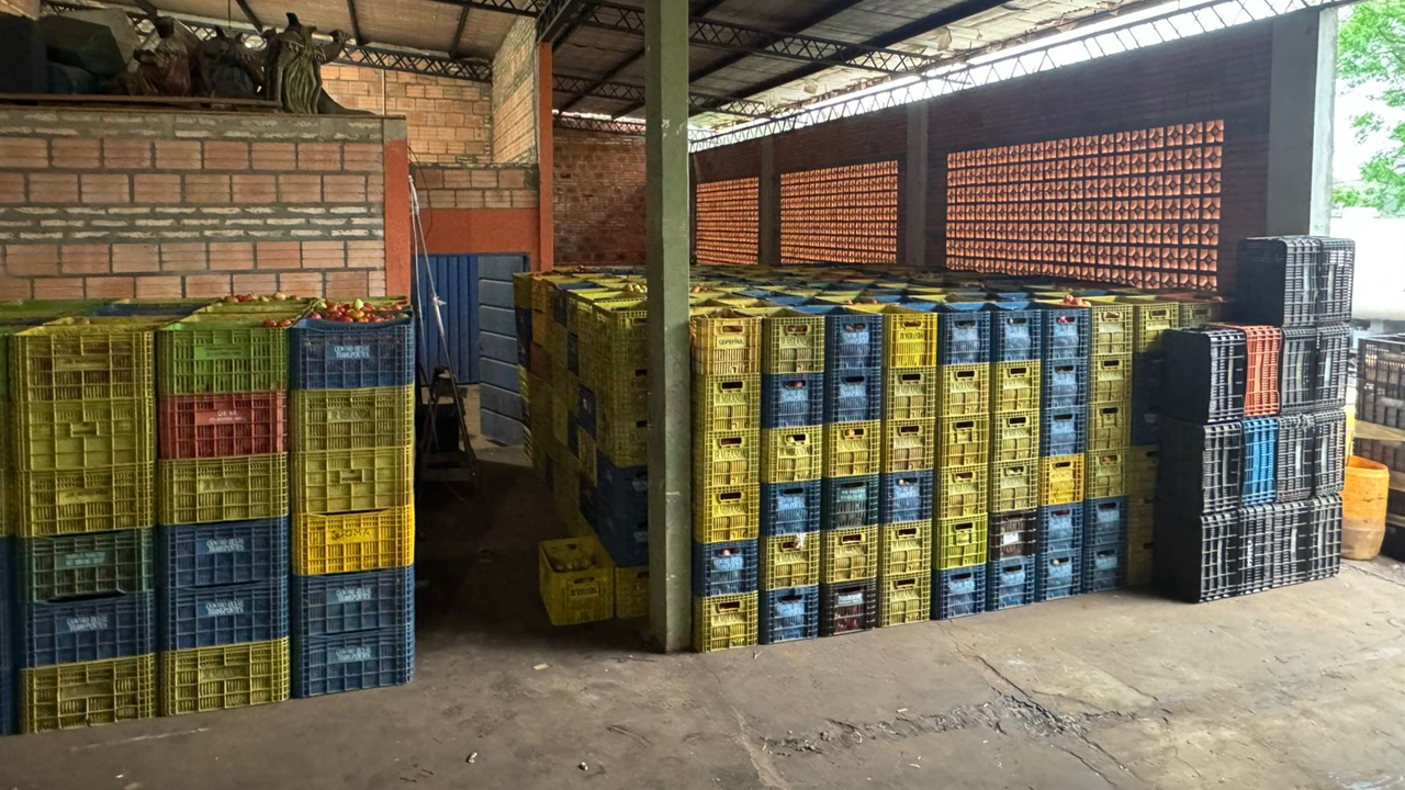 En total, fueron incautadas 967 cajas plásticas con tomates, equivalentes a unos 29.010 kilogramos